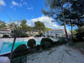 Studio climatisé piscine et proche plage